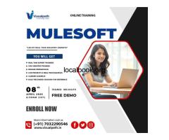 Join the MuleSoft Demo – Learn from Industry Experts