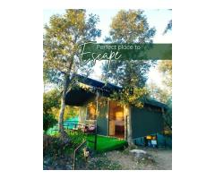 Best Luxury Glamping Retreat in Uttarakhand |Treetop Glamps