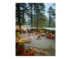 Best Luxury Glamping Retreat in Uttarakhand |Treetop Glamps - 2