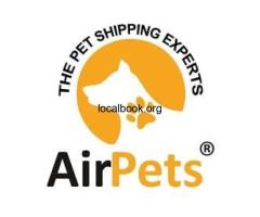 Book Trusted Pet Relocation in Delhi with AirPets