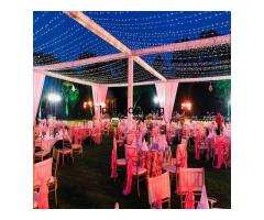Best Wedding Planner in Udaipur, India - Wedding Picasso
