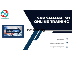 Learn SAP S4HANA SD from Scratch – Proexcellency,Bangalore