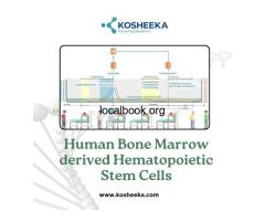 Human Bone Marrow-derived Hematopoietic Stem Cells