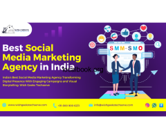 Professional Social Media Marketing Services India