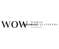 Wallpaper Shop near me Gurgaon