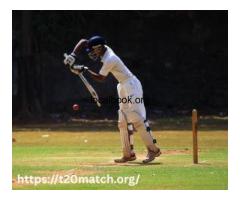 T20Match Turns Raw Numbers into Winning Cricket Strategy Insights