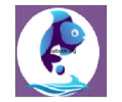 Lead Generation Company - Fish Eye Advertising