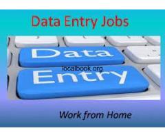 VData Tech offers offline Genuine US form filling job call 7708244092
