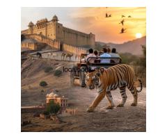 Jaipur Ranthambore Tour Itinerary to Explore Rajasthan