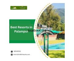 Best Resorts in Palampur