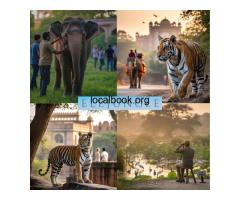 Best Jaipur Ranthambore Tour Package for Family Vacations in Rajasthan