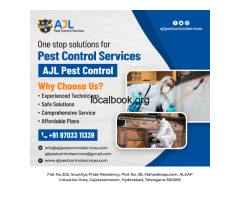 Pest Control Services in Jubilee hills