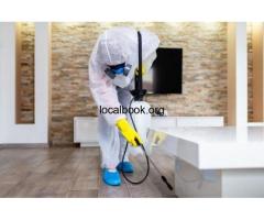Pest Control Services in Hitech city