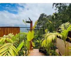 Mountain View Staycation Munnar | Luxury Glamping in Munnar