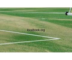 Upgrade Your Cricket Ground with OSMS Turf | Call Now