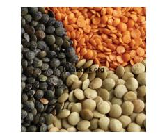 Indian Pulses Exporter | Strivex Global