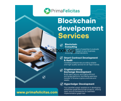 Top Blockchain development services by PrimaFelicitas