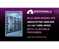 Buy Serverwalas Dedicated Server in Netherlands