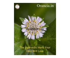 Bhringraj: The Ayurvedic Herb Your Hair Will Love