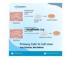 Primary Cells Vs Cell Lines: You Choose, We Deliver