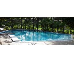 Best Programmable Fountain manufacturer - 3