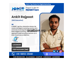 Top Online Digital Marketing Course in Lucknow Flexibl