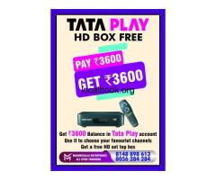 tata play new connection Urapakkam call 81488 98613