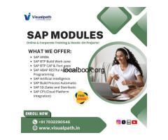 SAP All Modules Training Online and Corporate at Visualpath
