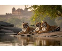 Jaipur And Ranthambore Tour Package Explore Culture