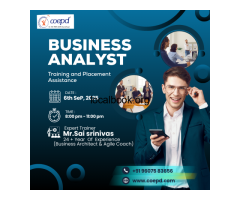 Business Analyst Course in Vizag – COEPD
