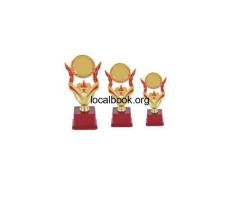 Customized Trophy Manufacturer Madhav Laser Tech