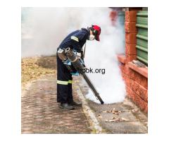 Effective Pest Control Near Me