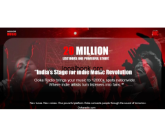 Low Mic- A Bespoke Platform for Indie Artists