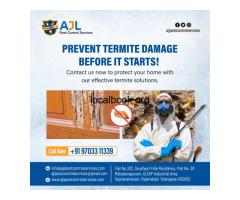 Termite Control Services in Hyderabad