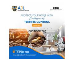 Termite Control Services